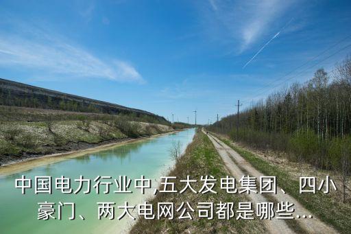 中國電力行業(yè)中,五大發(fā)電集團(tuán)、四小豪門、兩大電網(wǎng)公司都是哪些...