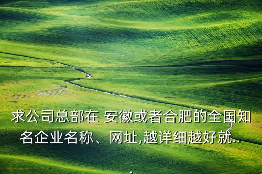 求公司總部在 安徽或者合肥的全國(guó)知名企業(yè)名稱、網(wǎng)址,越詳細(xì)越好就...