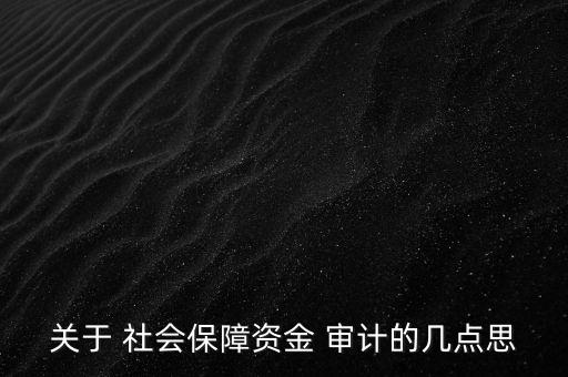 關于 社會保障資金 審計的幾點思
