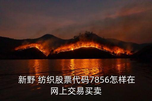 河南新野紡織集團股份有限公司