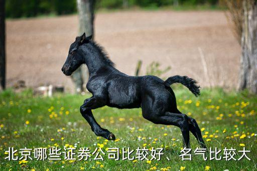 北京哪些證券公司比較好、名氣比較大