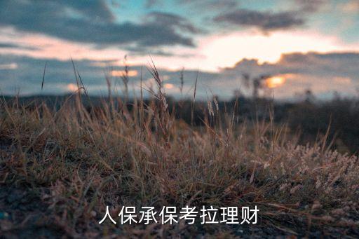 中國人保承保考拉理財(cái)