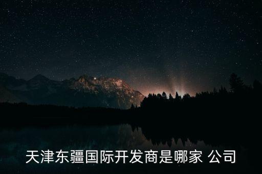 天津東疆國(guó)際開(kāi)發(fā)商是哪家 公司