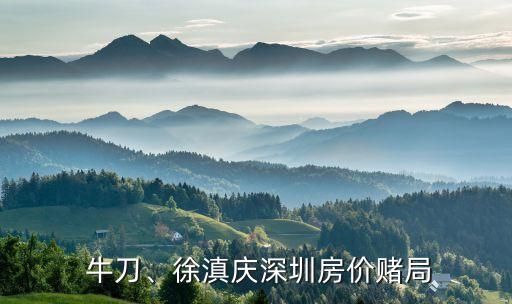  牛刀、徐滇慶深圳房價賭局