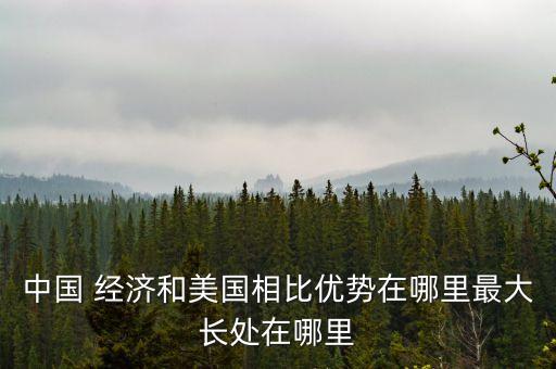 中國(guó)經(jīng)濟(jì)的獨(dú)特之處