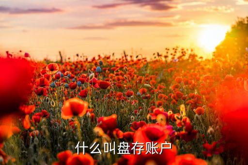 什么叫盤(pán)存賬戶