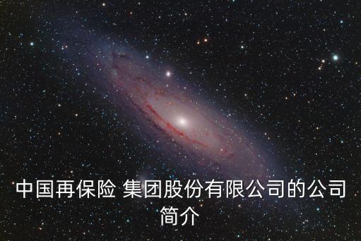 中國再保險 集團(tuán)股份有限公司的公司簡介