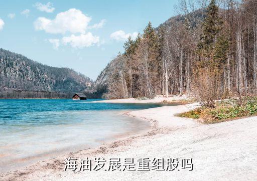山東?；瘓F(tuán)董事長