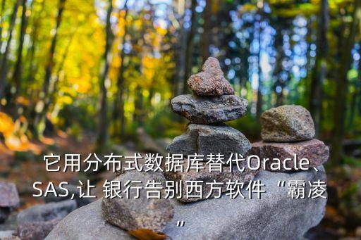 它用分布式數(shù)據(jù)庫(kù)替代Oracle、SAS,讓 銀行告別西方軟件“霸凌”