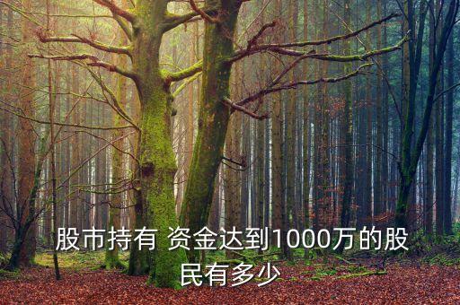  股市持有 資金達到1000萬的股民有多少