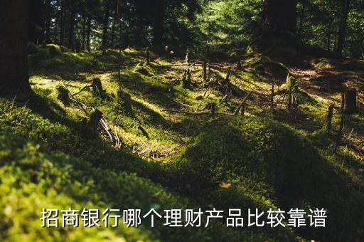  招商銀行哪個理財(cái)產(chǎn)品比較靠譜