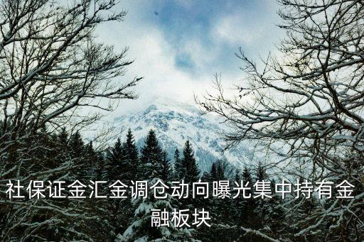 社保證金匯金調倉動向曝光集中持有金融板塊