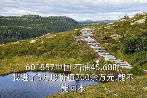 601857中國 石油45.68時(shí)我進(jìn)了5萬股價(jià)值200余萬元,能不能回本