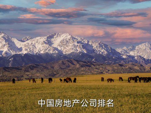 中國(guó)房地產(chǎn)公司排名