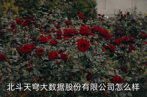 北斗天穹大數據股份有限公司怎么樣