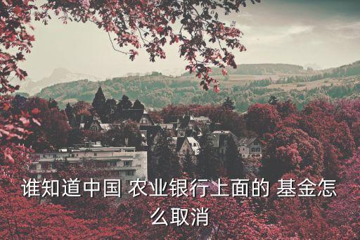 誰知道中國 農業(yè)銀行上面的 基金怎么取消