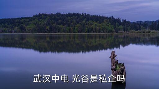 光谷應(yīng)收賬款管理有限公司,湖北光谷東人力資源管理有限公司