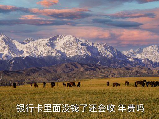  銀行卡里面沒(méi)錢(qián)了還會(huì)收 年費(fèi)嗎