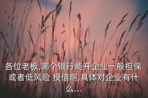 各位老板,哪個銀行能開企業(yè)一般擔(dān)?；蛘叩惋L(fēng)險 授信啊,具體對企業(yè)有什么...