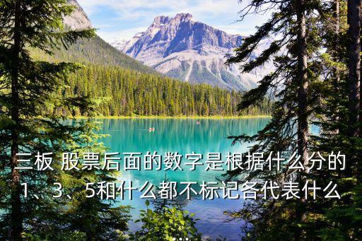 三板 股票后面的數(shù)字是根據(jù)什么分的1、3、5和什么都不標(biāo)記各代表什么...