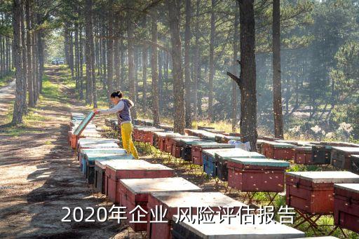2020年企業(yè) 風險評估報告