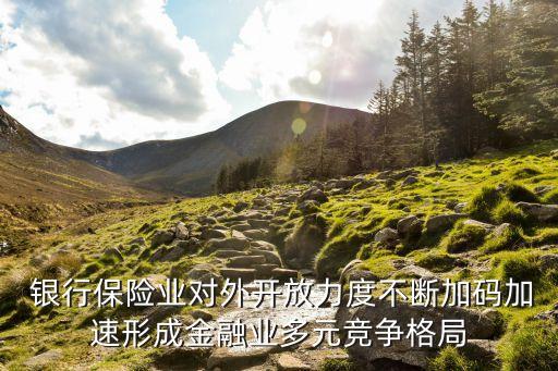 韓國銀行保險的發(fā)展經(jīng)驗(yàn),銀行保險發(fā)展措施與辦法