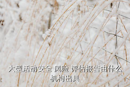 大型活動安全 風(fēng)險(xiǎn) 評估報(bào)告由什么機(jī)構(gòu)出具