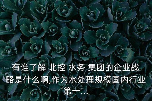 有誰(shuí)了解 北控 水務(wù) 集團(tuán)的企業(yè)戰(zhàn)略是什么啊,作為水處理規(guī)模國(guó)內(nèi)行業(yè)第一...
