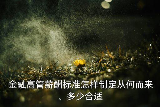  金融高管薪酬標準怎樣制定從何而來、多少合適