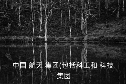 中國(guó) 航天 集團(tuán)(包括科工和 科技 集團(tuán)