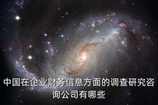 中國(guó)在企業(yè)財(cái)務(wù)信息方面的調(diào)查研究咨詢(xún)公司有哪些