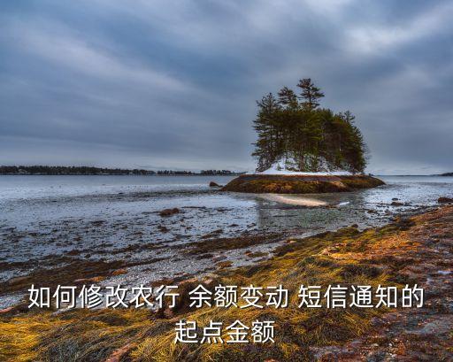 如何修改農(nóng)行 余額變動 短信通知的起點(diǎn)金額