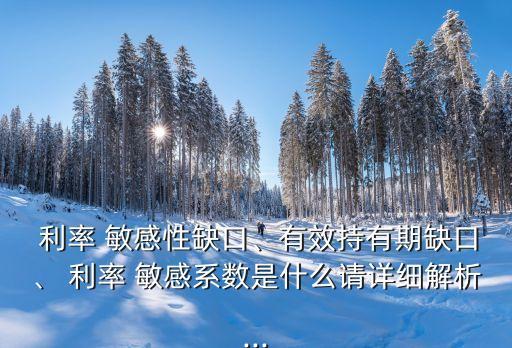  利率 敏感性缺口、有效持有期缺口、 利率 敏感系數(shù)是什么請詳細解析...