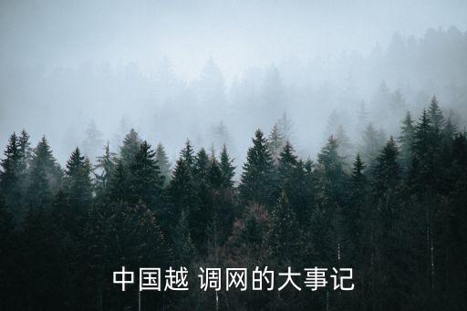 中國越 調網的大事記
