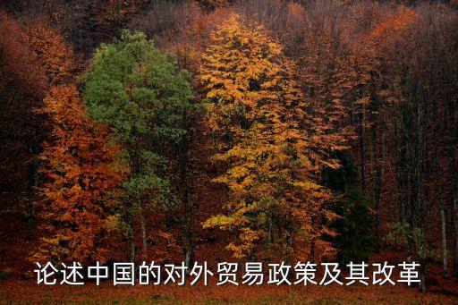 論述中國的對(duì)外貿(mào)易政策及其改革