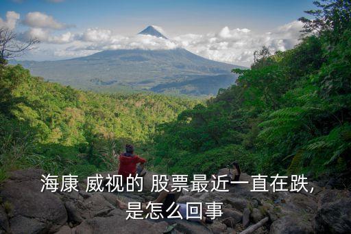  ?？?威視的 股票最近一直在跌,是怎么回事