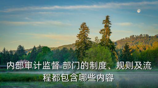 內(nèi)部審計(jì)監(jiān)督 部門(mén)的制度、規(guī)則及流程都包含哪些內(nèi)容
