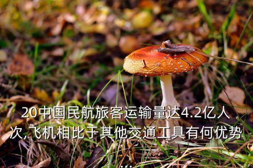 20中國民航旅客運輸量達(dá)4.2億人次,飛機相比于其他交通工具有何優(yōu)勢...