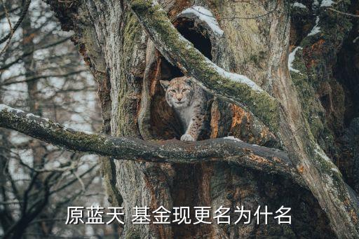 原藍天 基金現(xiàn)更名為什名