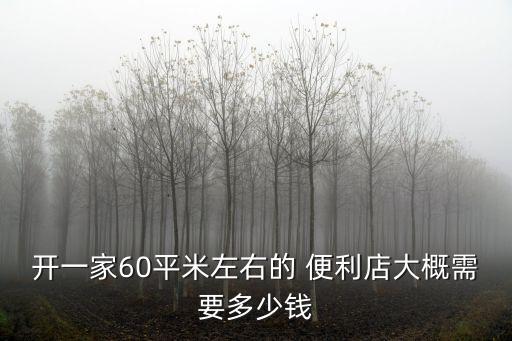 開(kāi)一家60平米左右的 便利店大概需要多少錢(qián)