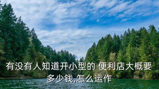 有沒(méi)有人知道開(kāi)小型的 便利店大概要多少錢(qián),怎么運(yùn)作