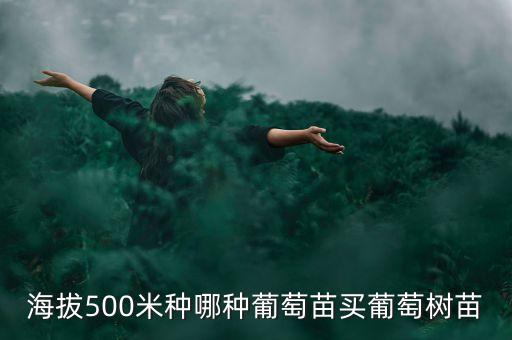 海拔500米種哪種葡萄苗買葡萄樹(shù)苗