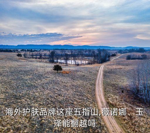 海外護(hù)膚品牌這座五指山,薇諾娜、玉澤能翻越嗎