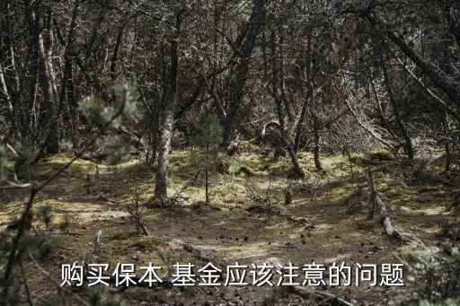  購(gòu)買(mǎi)保本 基金應(yīng)該注意的問(wèn)題