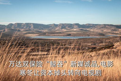  萬達(dá)雙保險(xiǎn)“鯨吞”新媒誠(chéng)品,電影寒冬讓資本掉頭轉(zhuǎn)向電視劇