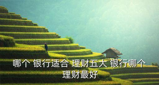 哪個 銀行適合 理財(cái)五大 銀行哪個 理財(cái)最好