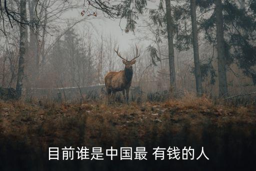 目前誰(shuí)是中國(guó)最 有錢(qián)的人