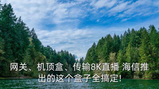 網(wǎng)關(guān)、機頂盒、傳輸8K直播 海信推出的這個盒子全搞定!