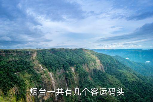 煙臺(tái)渤海國際輪渡有限公司的位置,渤海輪渡有限公司簡介