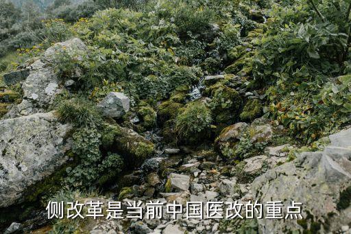 供給側(cè)改革是當(dāng)前中國醫(yī)改的重點(diǎn)